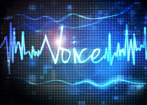 Voice Picking Bison