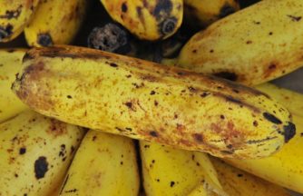 Kassationer Frukt Gront Bananer