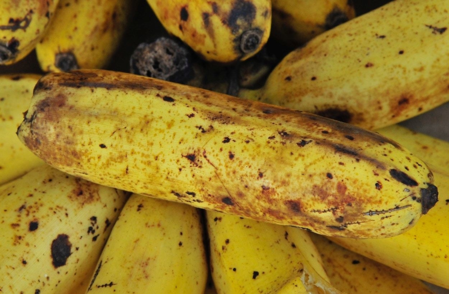 Kassationer Frukt Gront Bananer
