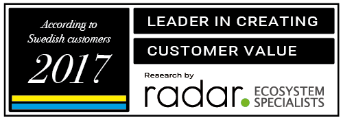 Logo Customer Value 2017 500